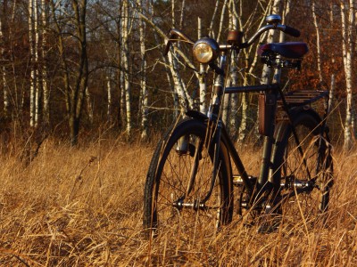 Siegfried Foto des Monats März.JPG (12.14 MiB) 20894 mal betrachtet Dürkopp Siegerrad Kilian-Vopel "Siegfried" (1939)