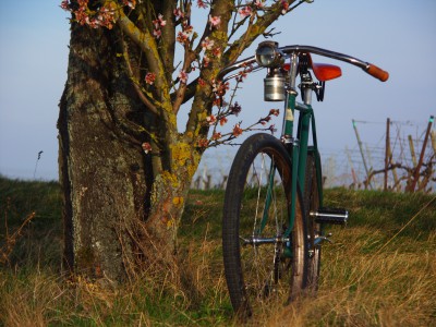 Eddie Foto des Monats März.JPG (13.88 MiB) 20794 mal betrachtet Dürkopp Sportrad "Eddie" (1940)