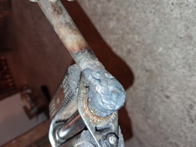 20260127_155557 (Mittel).jpg