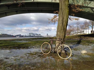 Cologne Skyline.jpg