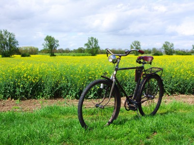 PICT0024(1).JPG (1.95 MiB) 13500 mal betrachtet SIEGFRIED Dürkopp Siegerrad Kilian-Vopel (1939)