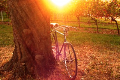 Eddie.jpg (3.9 MiB) 38383 mal betrachtet Dürkopp Sportrad Eddie (1940/41)