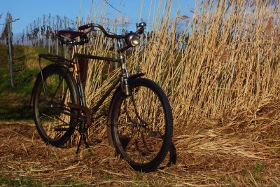 Siegfried Foto des Monats Februar.JPG (13.82 MiB) 39381 mal betrachtet Dürkopp Siegerrad Kilian-Vopel "Siegfried" (1939)